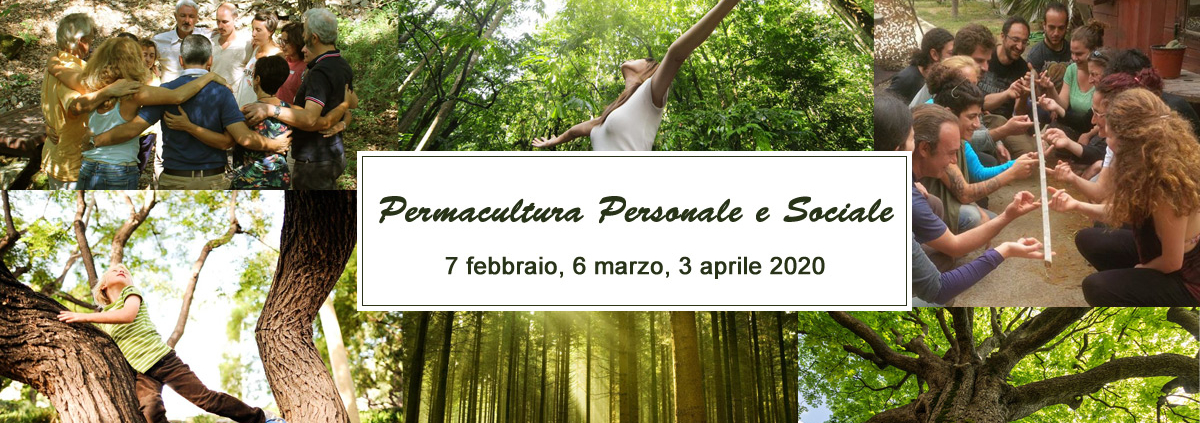 Permacultura personale e sociale - Albero della vita - Bologna